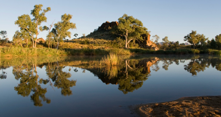 Finke River, Larapinta Trail