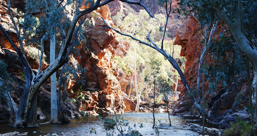 Serpentine Gorge, Larapinta Trail