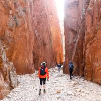 Hiking in Standley Chasm, Larapinta Trail | #cathyfinchphotography