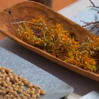 Guides showcasing bush foods during an Indigenous cultural experience | Tourism NT/Chris Tangey