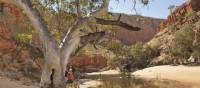 Classic outback country in Australia's Northern Territory | Paddy Pallin