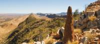 Counts Point is one of the highlights of the Larapinta Trail | Aran Price