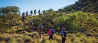 Walking along Central Australia's stunning Larapinta Trail | Graham Michael Freeman