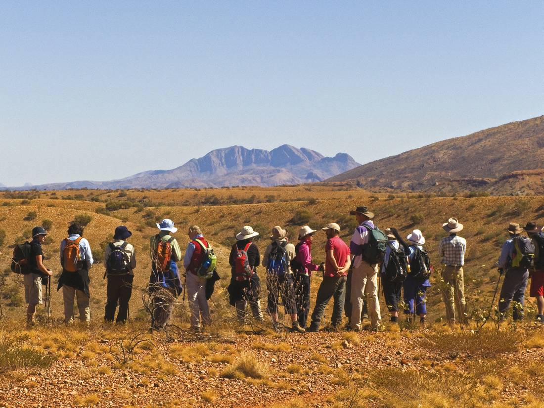 A group trekkers admiring the view along the Larapinta Trail |  <i>Peter Walton</i>