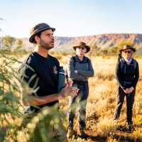 Walking towards Simpsons Gap then Standley Chasm | Lachlan Gardiner