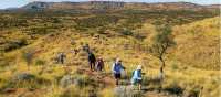 Walking towards Simpsons Gap then Standley Chasm | Lachlan Gardiner