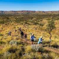 Walking towards Simpsons Gap then Standley Chasm | Lachlan Gardiner