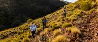 Hiking on the Larapinta Trail | Lachlan Gardiner