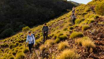 Hiking on the Larapinta Trail | Lachlan Gardiner