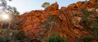 Hiking on the Larapinta Trail | Lachlan Gardiner