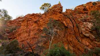 Hiking on the Larapinta Trail | Lachlan Gardiner