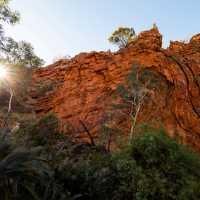 Hiking on the Larapinta Trail | Lachlan Gardiner
