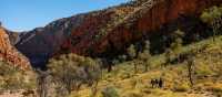 Ormiston Pound walk, Larapinta Trail | Lachlan Gardiner