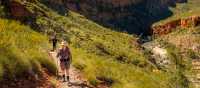 Ormiston Pound walk, Larapinta Trail | Lachlan Gardiner