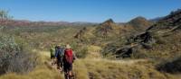 Vibrant landscapes trekking the Larapinta Trail | Linda Murden