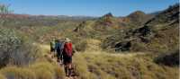 Vibrant landscapes trekking the Larapinta Trail | Linda Murden