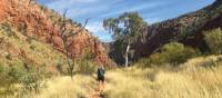 Walking towards Ormiston Gorge | Ayla Rowe