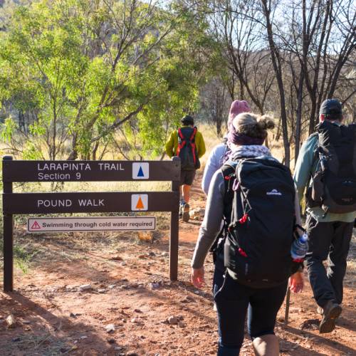 Frequently Asked Questions About Walking The Larapinta Trail