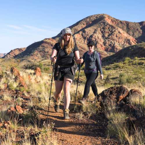 Melbourne Best Morning Hikes Near Me Larapinta Goddess Walk Along