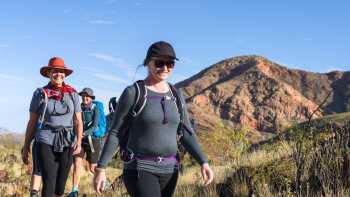 The Larapinta Trail is Australia's most popular desert walking experience