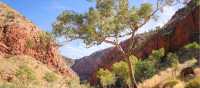 Beautiful outback scenery on the Larapinta Trail | Luke Tscharke