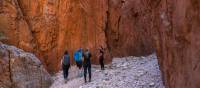 Cultural conversation walk at Standley Chasm | Luke Tscharke