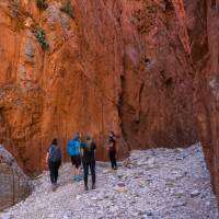 Cultural conversation walk at Standley Chasm | Luke Tscharke