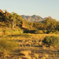 The summit of Mount Sonder drews us on to the end of the Larapinta Trail | Aran Price