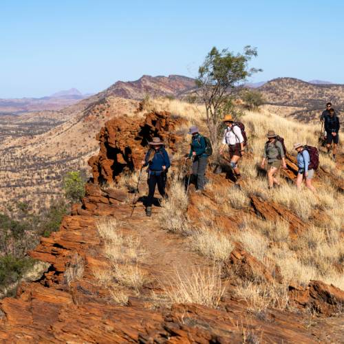 Larapinta trail hotsell walking tours
