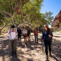 Experience a variety of desert landscapes on the Larapinta Trail | Shaana McNaught