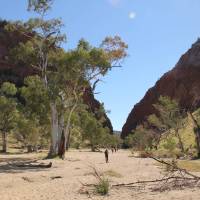 Trekkers make their way towards Simpson's Gap on the Larapinta Trail | Larissa Duncombe