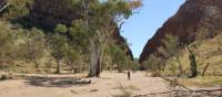 Trekkers make their way towards Simpson's Gap on the Larapinta Trail | Larissa Duncombe