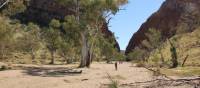 Trekkers make their way towards Simpson's Gap on the Larapinta Trail | Larissa Duncombe