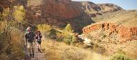 The Larapinta trail, known as one of Australia's best hikes | Paddy Pallin