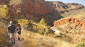 The Larapinta trail, known as one of Australia's best hikes