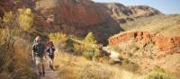 The Larapinta trail, known as one of Australia's best hikes | Paddy Pallin