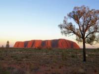 The Great Australian Walkabout concludes at Uluru |  <i>Steve Strike</i>