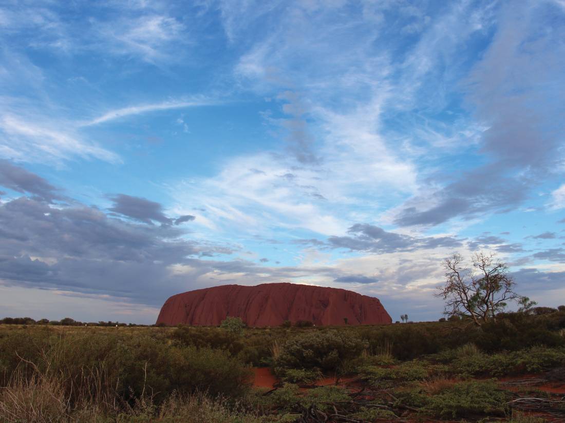 Viewing Uluru from the viewing area. |  <i>Ayla Rowe</i>