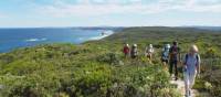 Explore the Walpole to Denmark section of the Bibbulmun Track