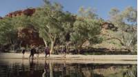 Our guide, Caitlin, explains that there is much more to the Larapinta Trail than most travellers expect. ------------------------------ Like this? Visit our websites: Trekking and guided tour information http://www.australianwalkingholidays.com.au http://www.LarapintaTrailWalks.com.au Find us on Facebook http://www.facebook.com/australianwalkingholidays Instagram: https://www.facebook.com/AustralianWalkingHolidays