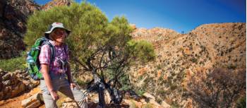 In the heart of the Chewings Range on the Larapinta Trail | Graham Michael Freeman